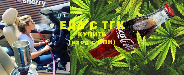 мдпв Инта