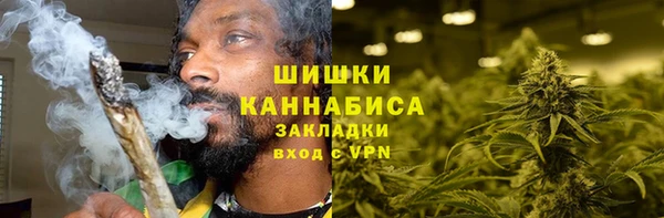 спиды Инсар